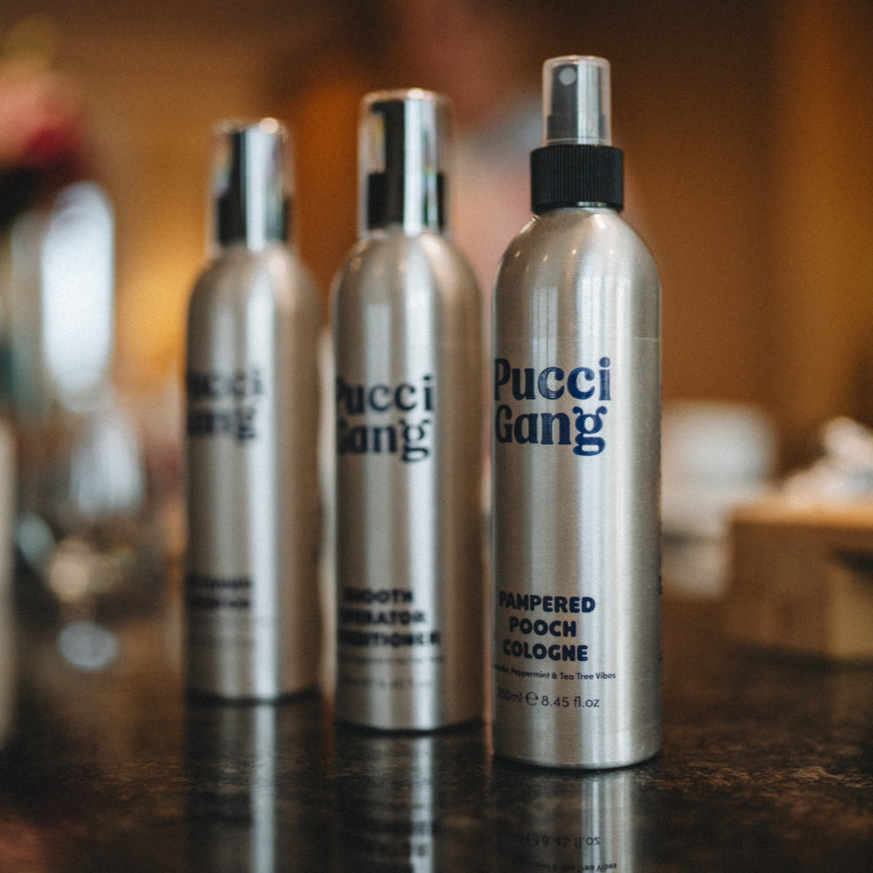 Dirty Dawg Shampoo - Grapefruit & Geranium